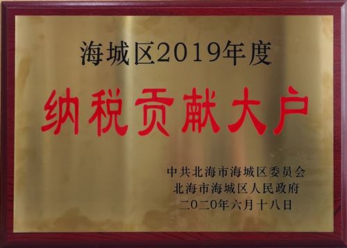 2019纳税贡献大户