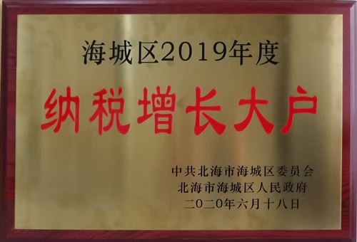 2019纳税增长大户
